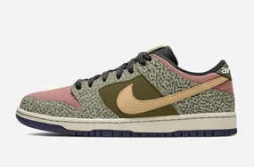 Running Shoes Nike Free Review Nike SB Dunk Low Pro QS Shoe - Khaki/Amber Brown-Rough Green-Rust/Pink (Arts-Rec)