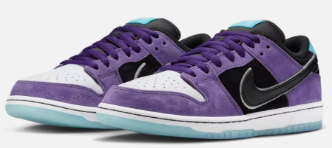 Expensive Nike Running Shoes Nike SB - Dunk Low Pro Shoes | Court Purple (Hayley Wilson)