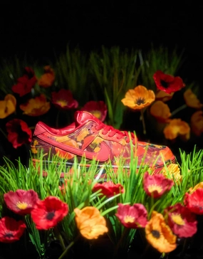 Nike SB 'Wizard of Oz' Dunk Low Pro QS Skate Shoes - Gym Red/University Red-Multi-Color Ombre Nike Shoes