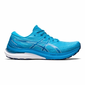 Asics Aqua Shoes Men's Asics Gel-Kayano 29, Island Blue/White, 11.5 2E Wide