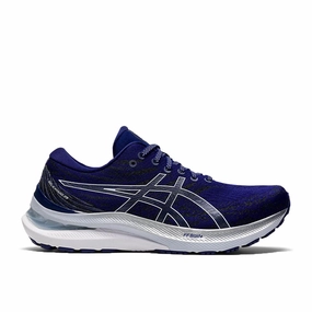 Dan Gable Asics Classic Wrestling Shoes Women's Asics GEL-Kayano 29, Dive Blue/Soft Sky, 6 D Wide